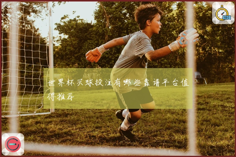 世界杯买球投注有哪些靠谱平台值得推荐