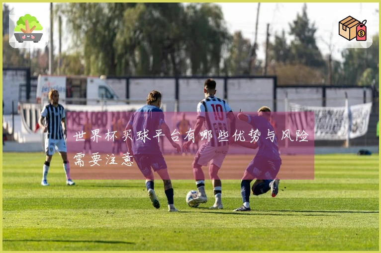 世界杯买球平台有哪些优势与风险需要注意