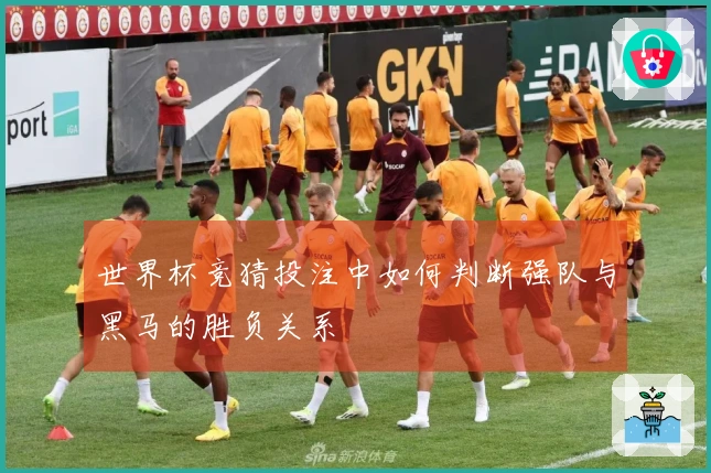 世界杯竞猜投注中如何判断强队与黑马的胜负关系