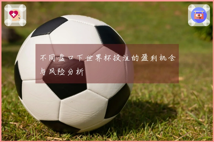 不同盘口下世界杯投注的盈利机会与风险分析