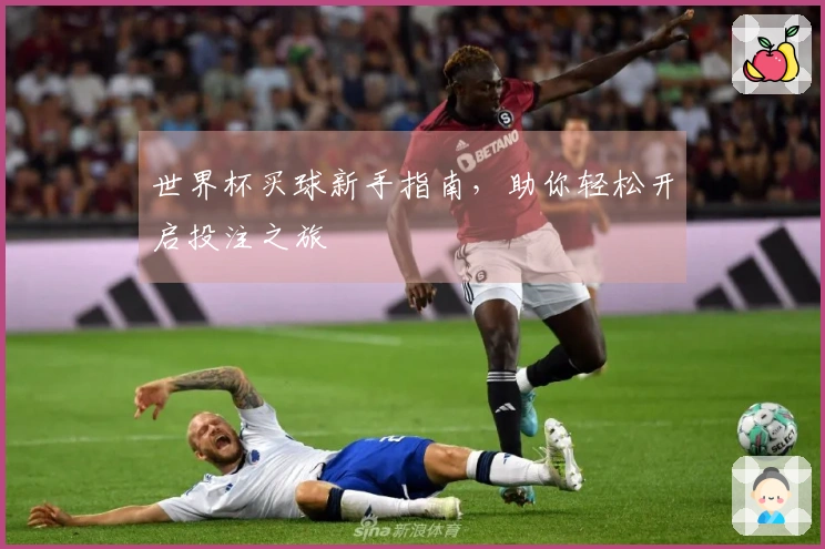 世界杯买球新手指南，助你轻松开启投注之旅