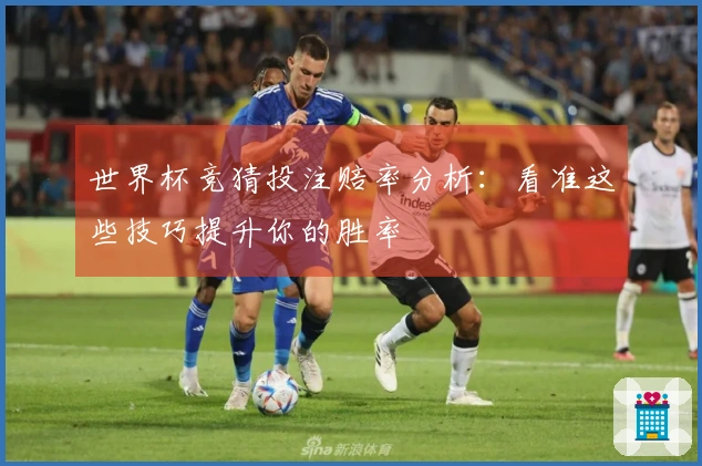 世界杯竞猜投注赔率分析：看准这些技巧提升你的胜率