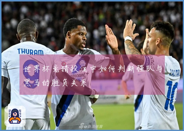 世界杯竞猜投注中如何判断强队与黑马的胜负关系