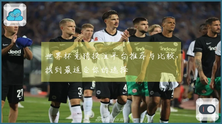 世界杯竞猜投注平台推荐与比较，找到最适合你的选择