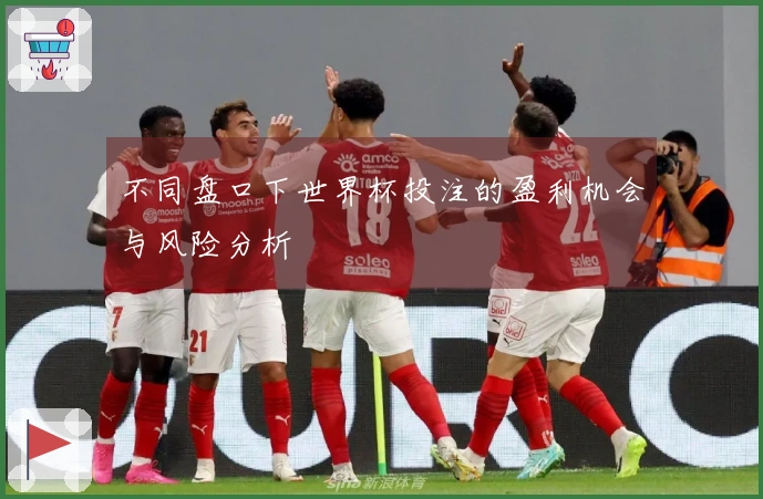 不同盘口下世界杯投注的盈利机会与风险分析