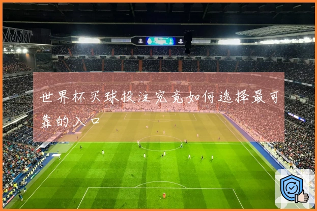 世界杯买球投注究竟如何选择最可靠的入口