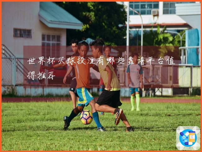 世界杯买球投注有哪些靠谱平台值得推荐
