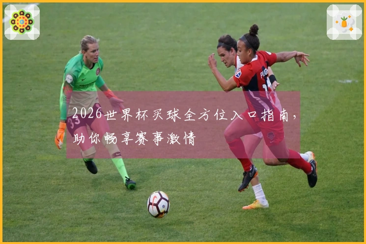 2026世界杯买球全方位入口指南，助你畅享赛事激情