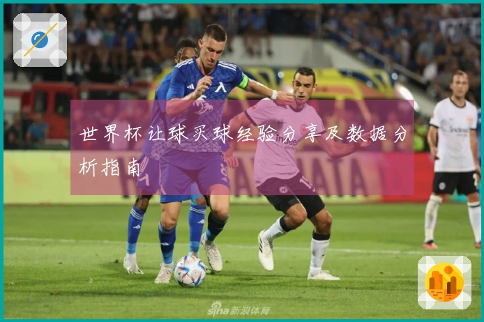 世界杯让球买球经验分享及数据分析指南